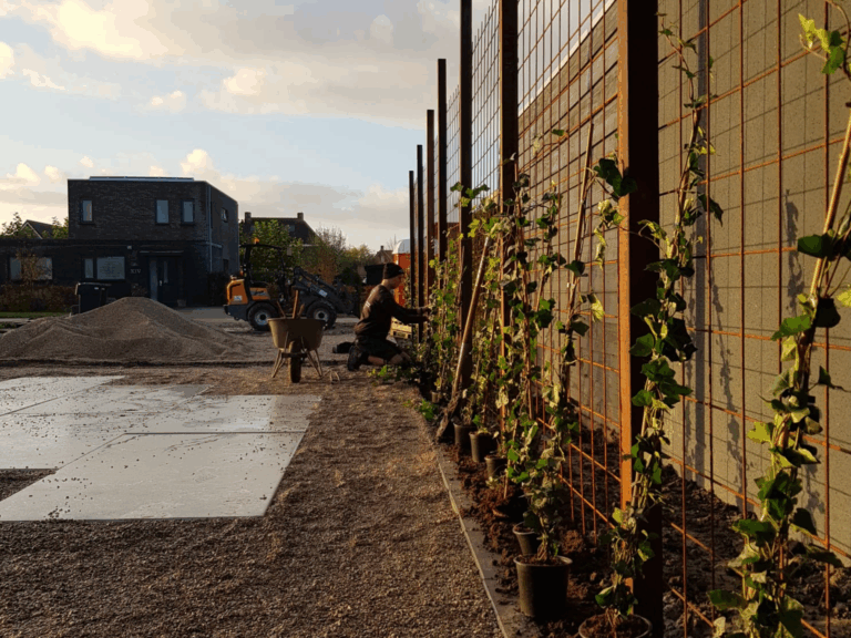 Project 6 RK Multidiensten