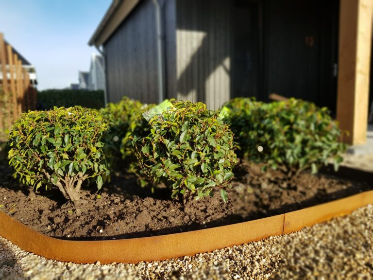 Project 6 RK Multidiensten